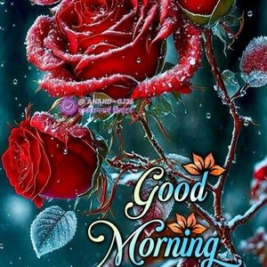 Meet your Posher, Harish